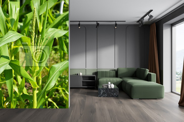 Wizualizacja produktu