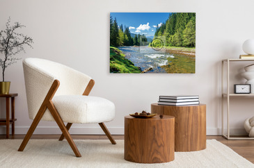 landscape with mountain river among spruce forest. beautiful sunny