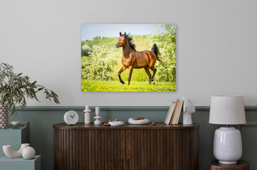 Wizualizacja produktu