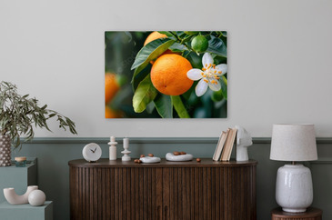 Wizualizacja produktu