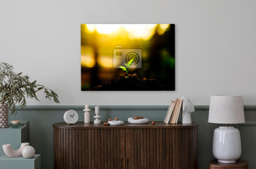 Wizualizacja produktu