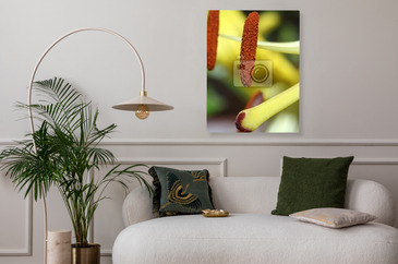 Wizualizacja produktu