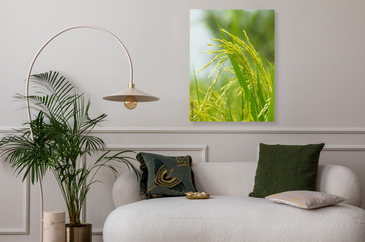 Wizualizacja produktu