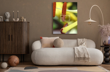 Wizualizacja produktu