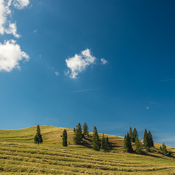 Grünes feld und blauer himmel