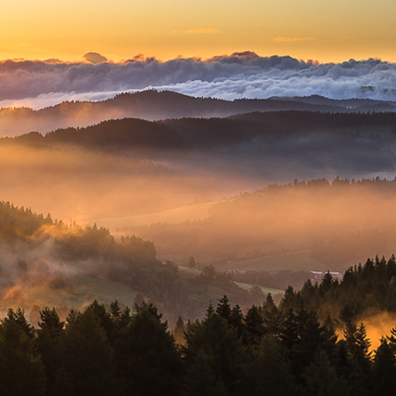 Berge und niedrige wolken