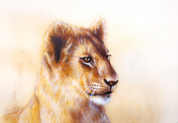 Silhouette einer sitzenden löwin
