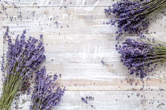 Lavendel auf den brettern