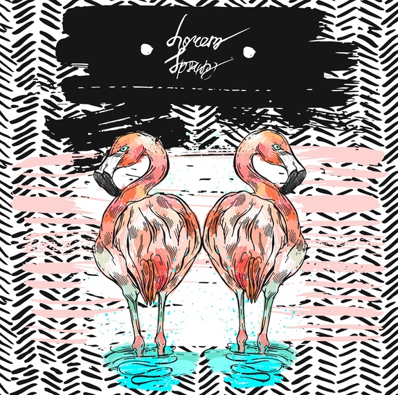 Zwei flamingos im wasser