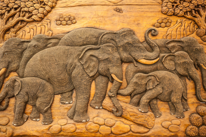 Afrika stil elefanten