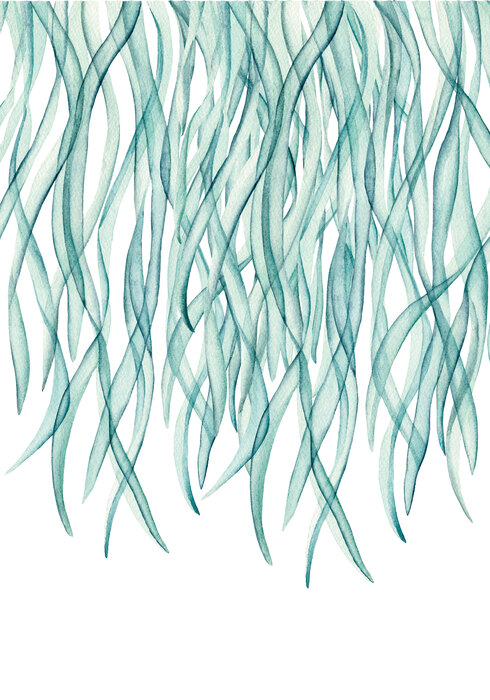 Grüner blättervorhang