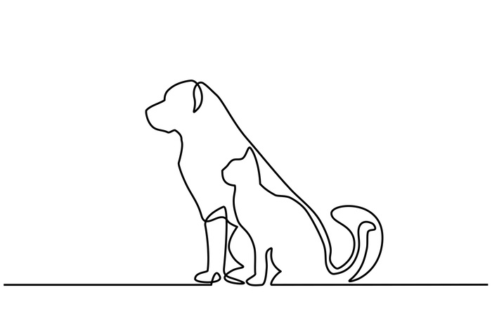 Hunde- und katzenporträt