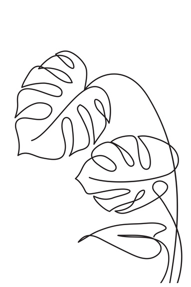 Köstliches fensterblatt