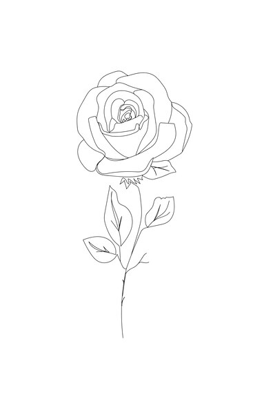 Minimalistische rose