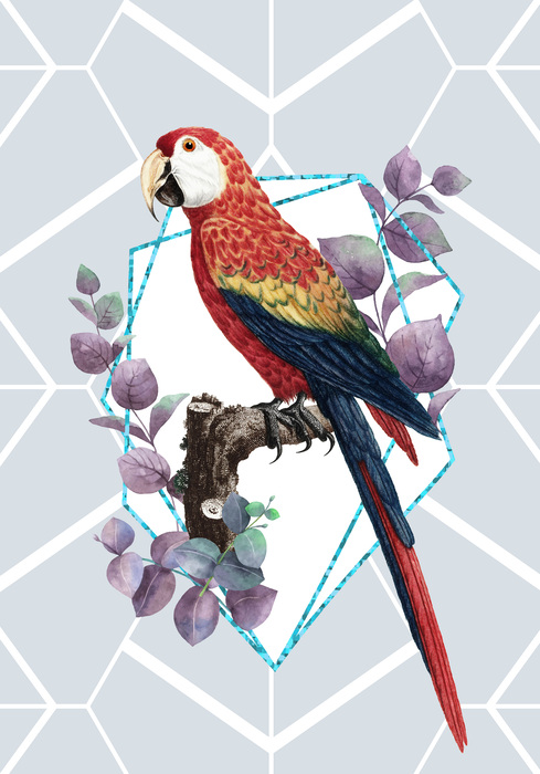 Hellroter ara im modernen stil