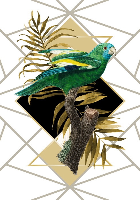 Weißflügelsittich auf goldenem blatt