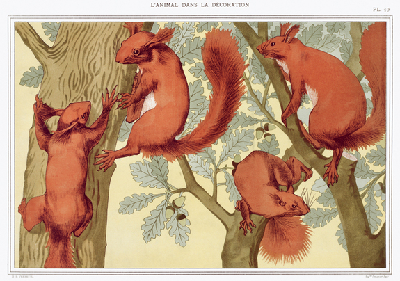 Eichhörnchen auf dem baum 