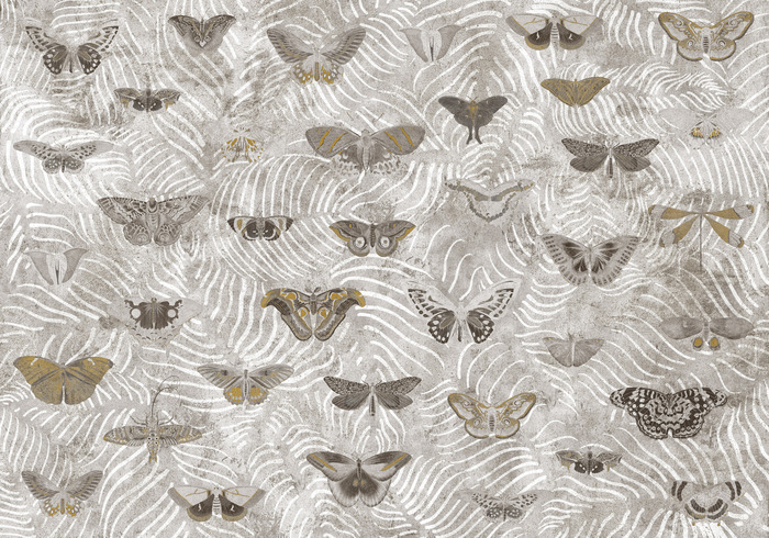 Ein tag aus dem leben eines schmetterlings