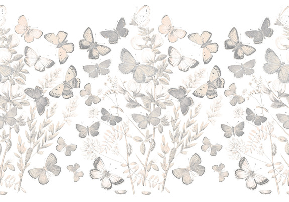 Lichtung an einem schönen tag