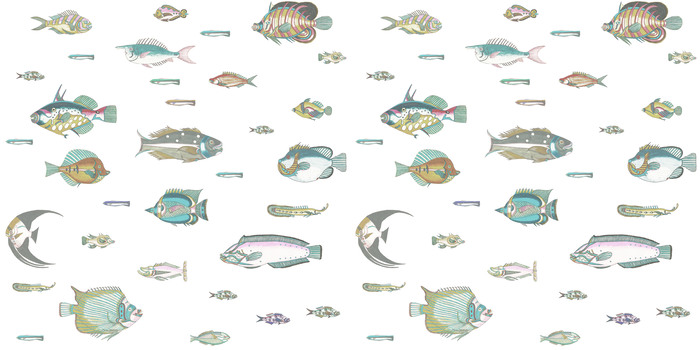 Fisch auf weißem hintergrund