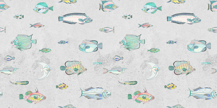 Hintergrund der grauen fische