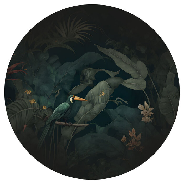 Paradiesvogel im dunklen dschungel