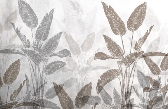 Strelitzia große tropische pflanzen auf einem betonhintergrund