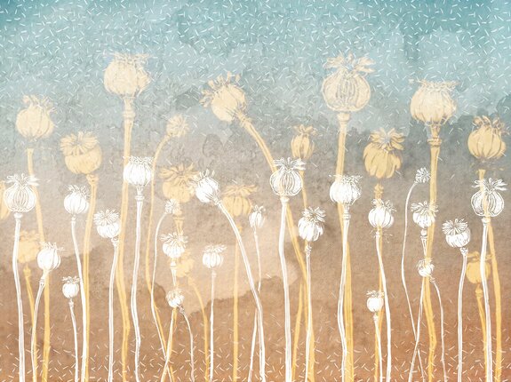 Wildblumen auf einem konkreten ombre-hintergrund