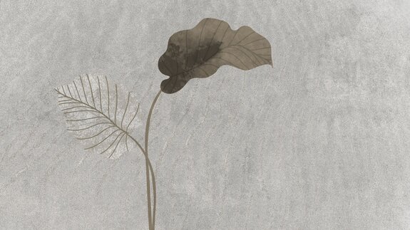 Minimalistisches blattmuster auf grauem betonhintergrund