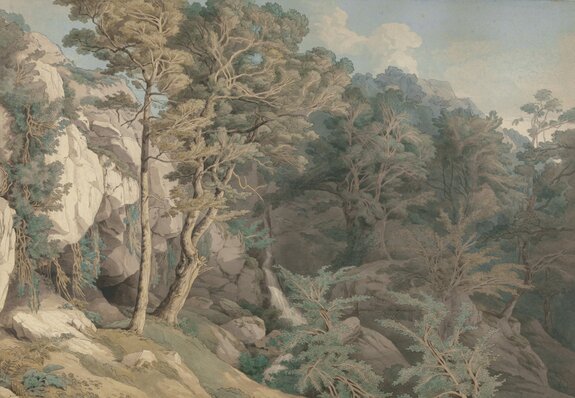 Bäume und pflanzen zwischen den felsen, natürliche landschaft