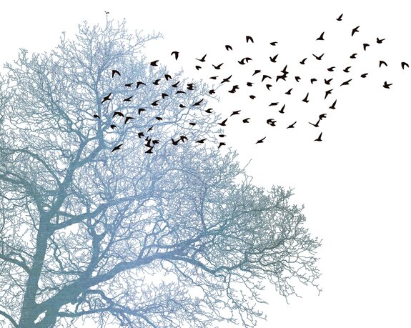 Schwarze vögel und ein baum auf weißem hintergrund