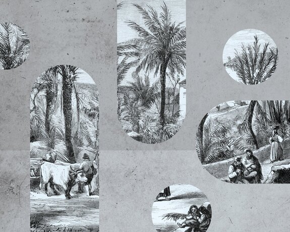 Schwarz-weiße landschaft in geometrischen formen