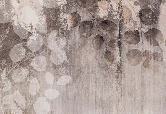 Eukalyptuszweige auf konkretem hintergrund