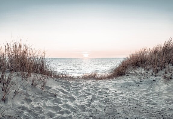 Meereslandschaft bei sonnenuntergang