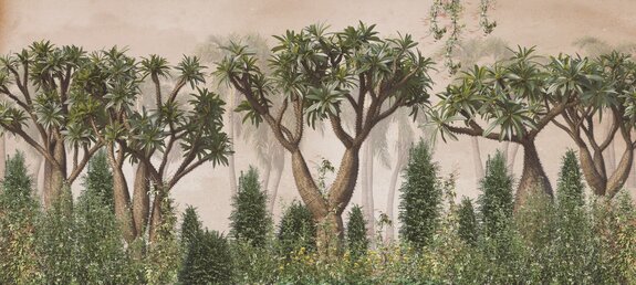 Vintage redwood-wald