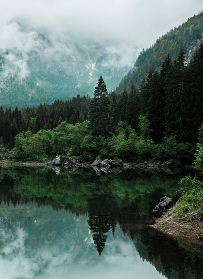 Grüne landschaft mit bergsee