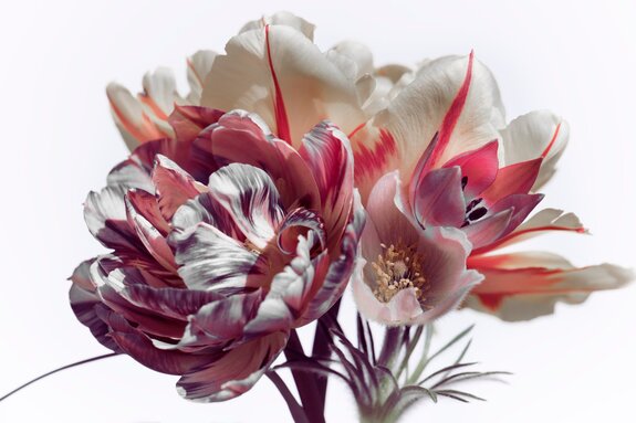 Tulpen auf hellem hintergrund blumenmuster