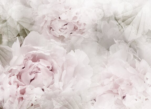 Blumiges muster, pastellhintergrund, pfingstrosen