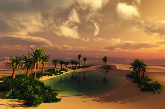 Tropische wüste mit palmen und wasser