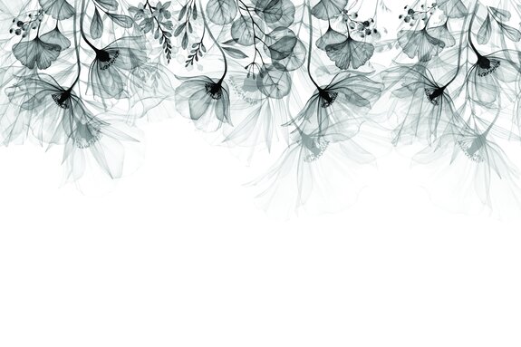 Zarte hängende graue blumen