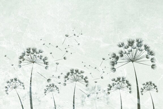 Löwenzähne auf grauem beton