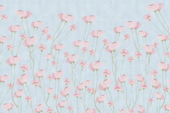 Zarte mohnblumen auf blauem hintergrund