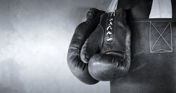 Boxhandschuhe