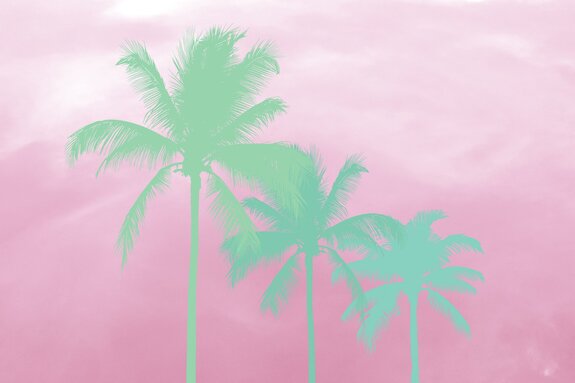 Blaue palmen auf rosa hintergrund