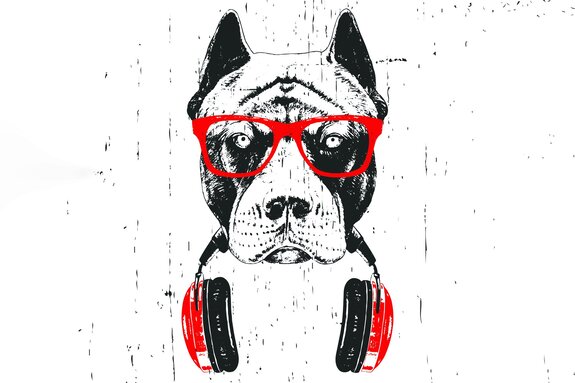 Hund mit sonnenbrille und kopfhörern