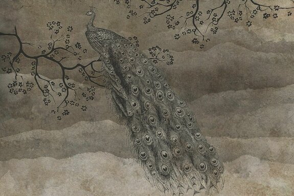 Schöner pfau auf einem ast vor braunem strukturiertem hintergrund