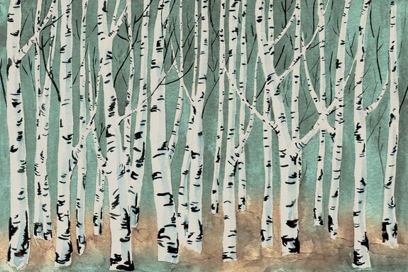 Birken in einer aquarelllandschaft