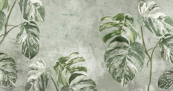 Monstera-pflanzen auf strukturiertem grünem hintergrund