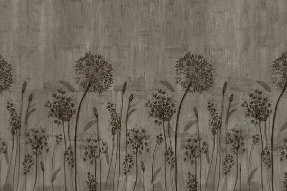 Löwenzahn auf grauem betonhintergrund