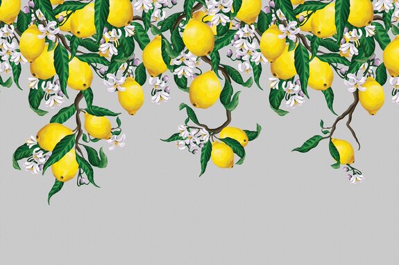 Zitronen umgeben von blumen und blättern